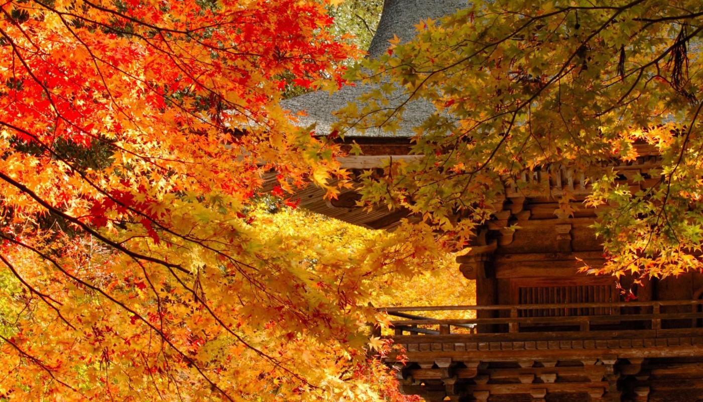 この秋行きたい！ 岐阜おすすめ紅葉スポット特集part.1 - TonyaEXPO net